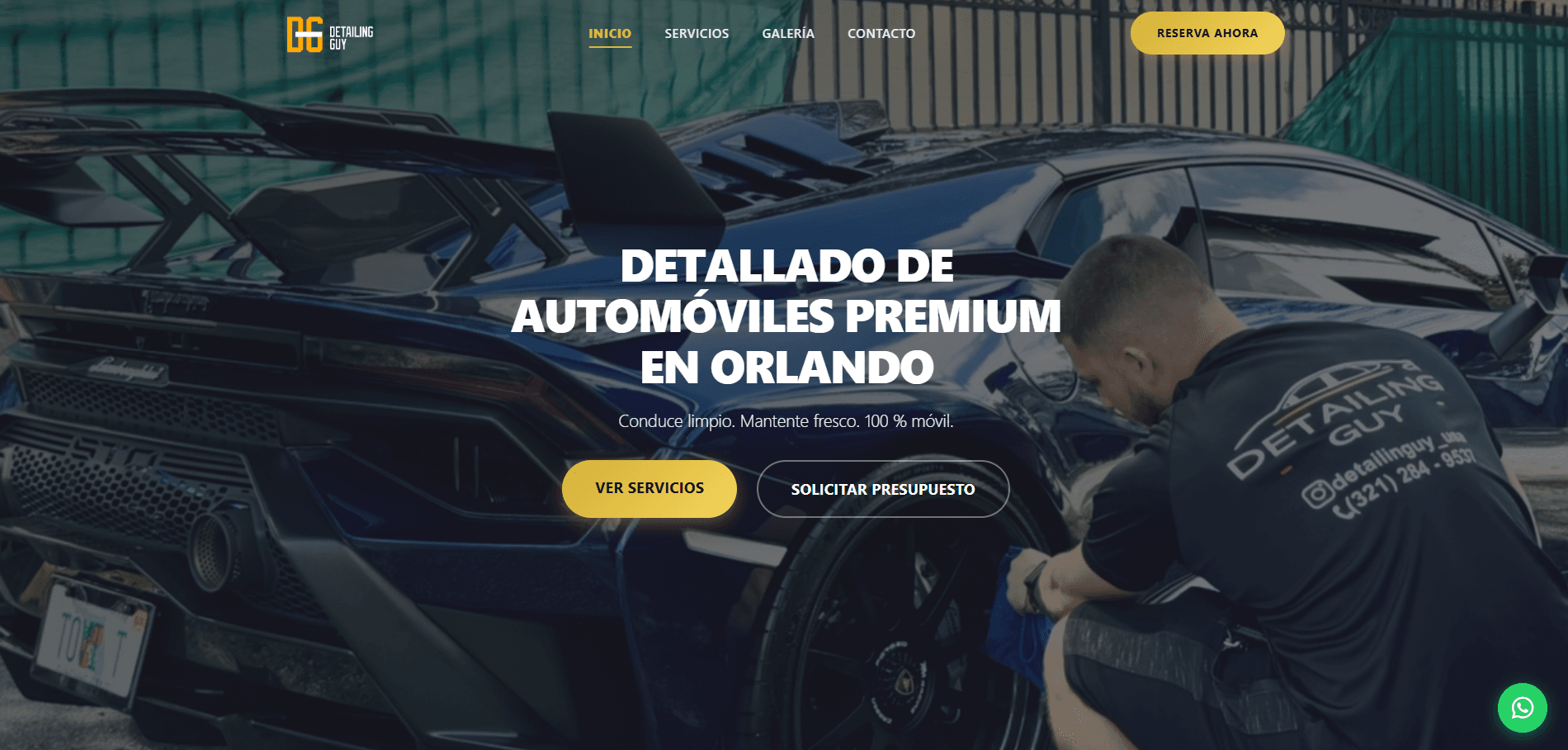 Detailing Guy Website